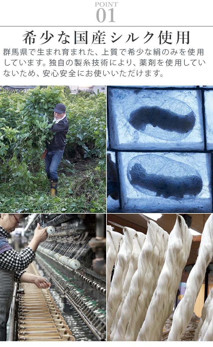 �彣���� ���ꥷ��إ��֥饷���С� JSKNT015