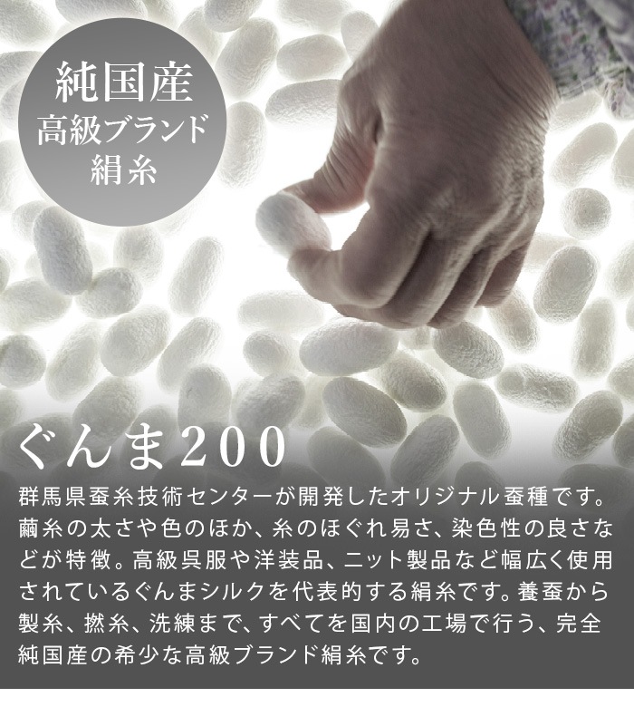�彣���� ���ꥷ��إ��֥饷���С� JSKNT015