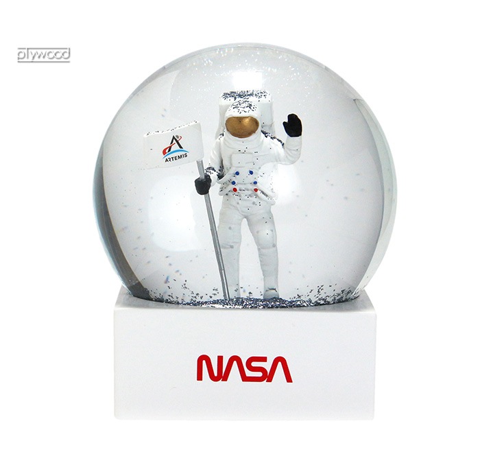 �ǥ��ơ��� �ʥ� ���Ρ� �������� DETAIL  NASA Snow Globe