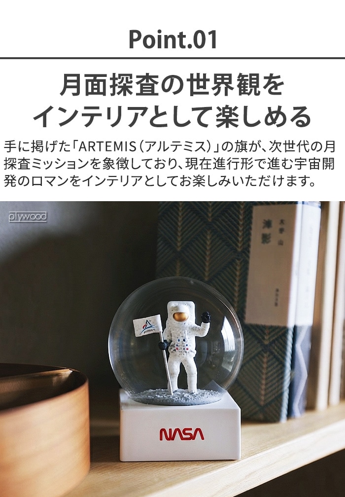 �ǥ��ơ��� �ʥ� ���Ρ� �������� DETAIL  NASA Snow Globe