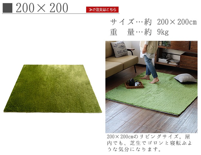Brid New Grass Rug Square 0x0 ブリッド ニュー グラス ラグ スクエア ファブリック ラグ Plywood プライウッド