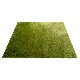 BRID NEW GRASS RUG SQUARE 200x200 �֥�å� �˥塼 ���饹 �饰 ��������