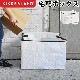 ���å������� �ץ��ƥ��ȥޥ��ѥå����� KIKKERLAND protect my package