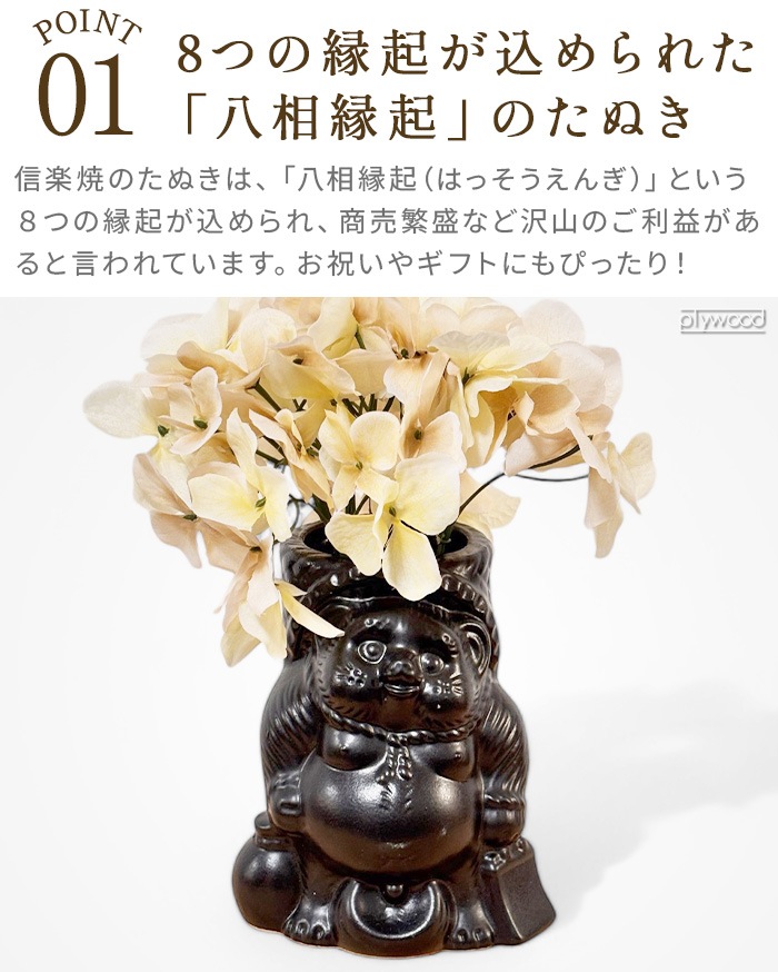 ɥʥå 饯 ɥå ١ S NUT RACCOON DOG BASE