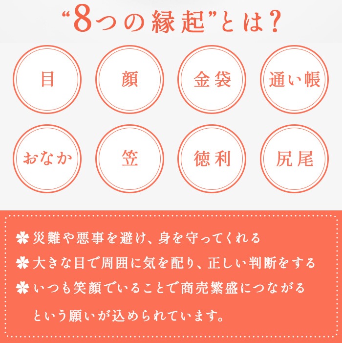 ɥʥå 饯 ɥå ١ S NUT RACCOON DOG BASE