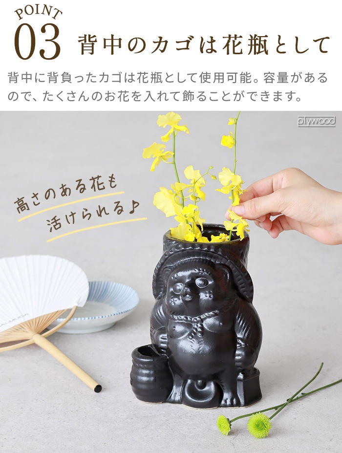 ɥʥå 饯 ɥå ١ S NUT RACCOON DOG BASE