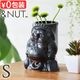ɥʥå 饯 ɥå ١ S NUT RACCOON DOG BASE