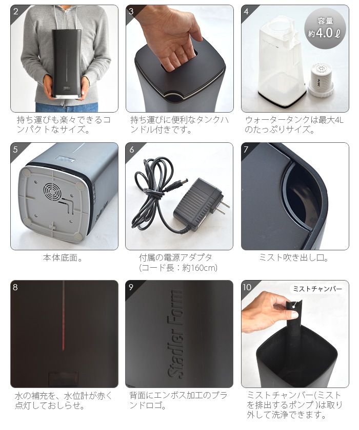 �����ɥ顼�ե����� ��������ȥ� Ķ���Ȳü��� Stadler Form Eva little