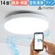 Slimac UZUKAZE3 LED�ե��󥷡���󥰥饤�� �������� FCE-570 �ۥ磻��