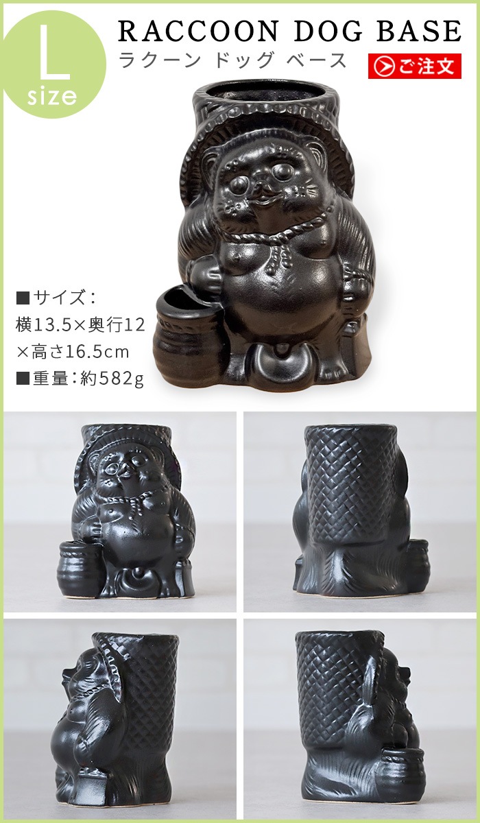 ɥʥå 饯 ɥå ١ L NUT RACCOON DOG BASE