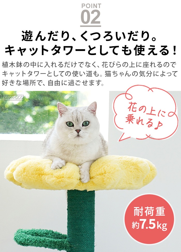 zeze POT PET HOUSE  ڥåѥϥ [ / å]