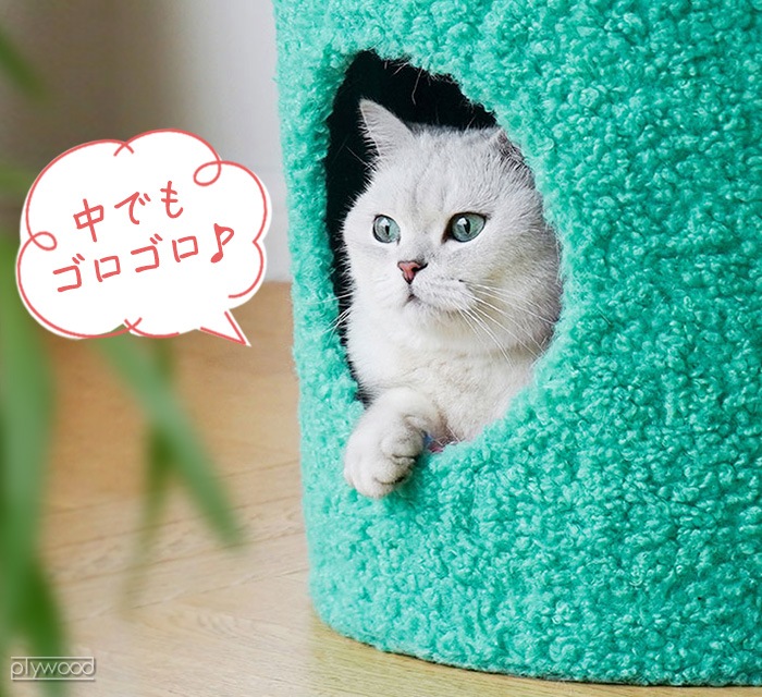 zeze POT PET HOUSE  ڥåѥϥ [ / å]