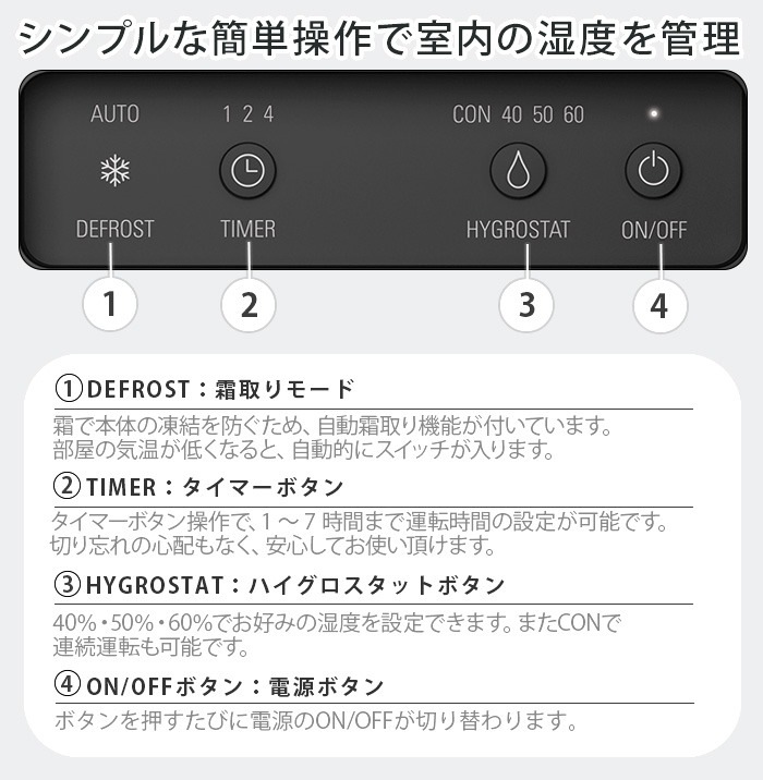 �����ɥ顼�ե����� �ƥ� �������絡 Stadler Form Theo