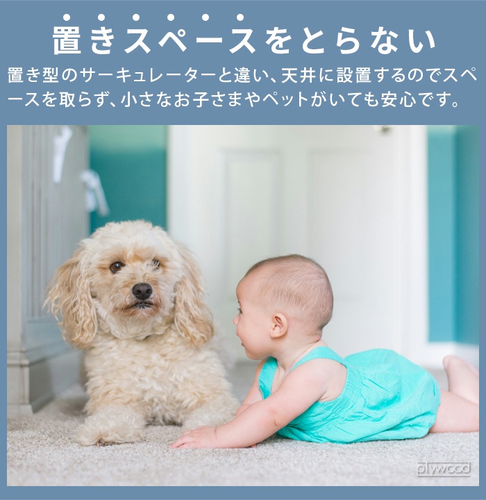 ���饤�ޥå� �������� �졼��ե��� Slimac UZUKAZE RAILFAN SRF-250