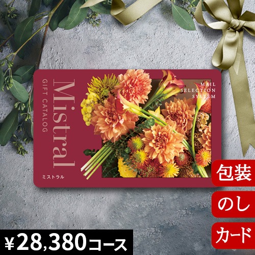 �����������ե� �ߥ��ȥ�� �����֥� [�����ɥ�����] Mistral Sable 2500224