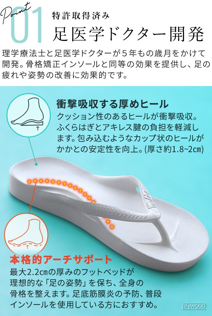 ������ ARCHIES ���������� ���������ݡ��ȥȥ󥰥������