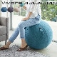 �����ƥ��󥰥ܡ��� �롼�� [�����ˡ���] Vivora SITTING BALL CHAIRS LUNO CHENILLE