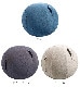 �����ƥ��󥰥ܡ��� �롼�� [�����ˡ���] Vivora SITTING BALL CHAIRS LUNO CHENILLE