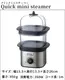 ��å���ۥ֥� �ߥ˥������ޡ� Russell Hobbs Mini Steamer 7910JP