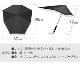 ���� ����֥�� ���ꥸ�ʥ� SENZ Umbrellas NEW SENZ ORIGINAL