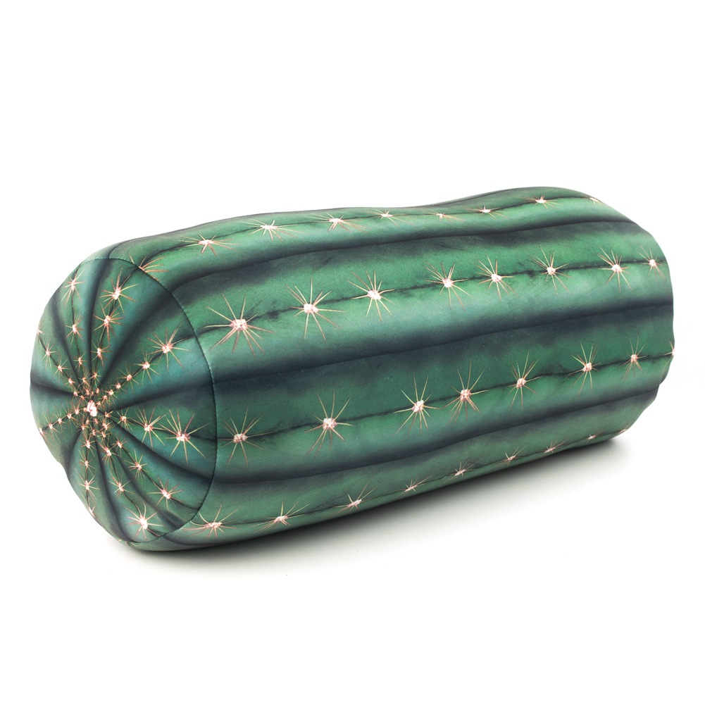 å  ԥ KIKKERLAND cactus pillow