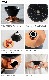 Beasty Coffee by amadana �ӡ����ƥ��������ҡ� �����ҡ��ɥ�åѡ� [�������ۥ磻��] ABC-D1-GW