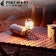 ޥ  󥿥 FORE WINDS MICRO CAMP LANTERN FW-ML01