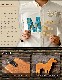 Goody Grams �ܡ��󥪥֥������� BONE OBJECT