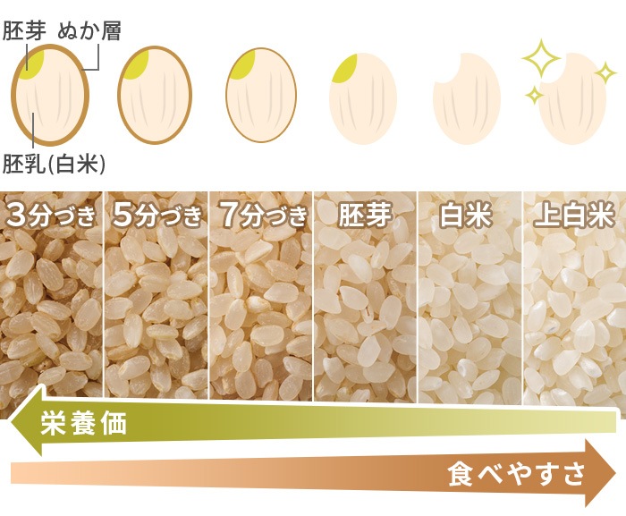 recolte �쥳��� ����ѥ������Ƶ� RRP-1