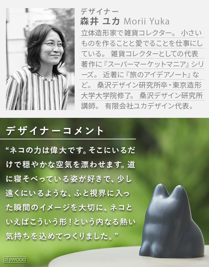 +d ץ饹ǥ ͥå å女󥻥ץ