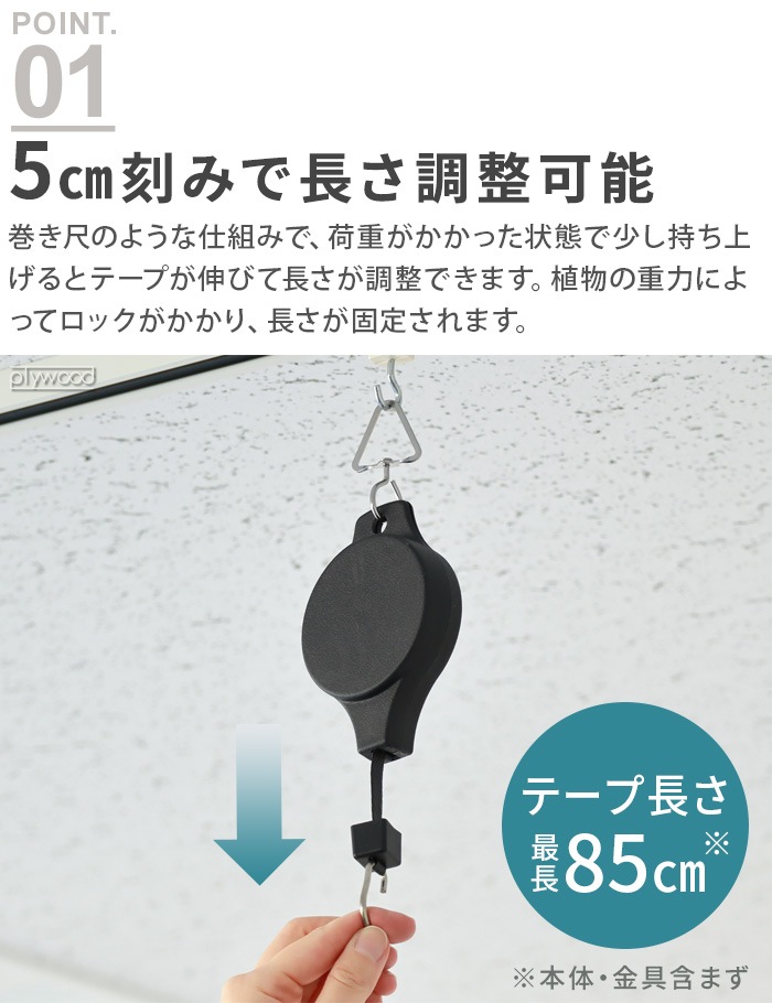 KONTON �ϥ󥮥󥰥����㥹���� 80