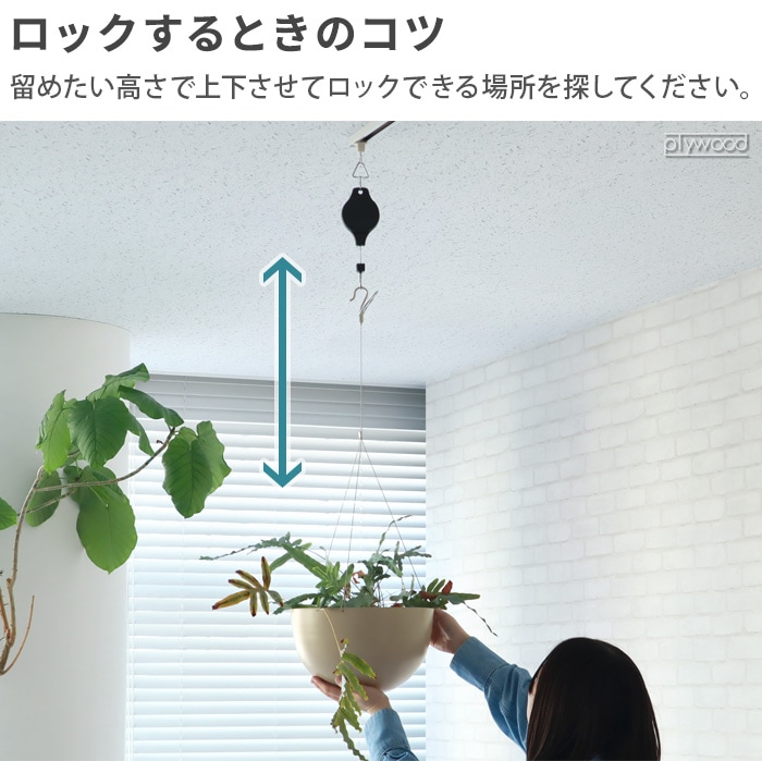 KONTON �ϥ󥮥󥰥����㥹���� 80