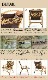 NATURAL MOUNTAIN MONKEYS �� Ballistics MEISTER SHEET �ޥ�������������
