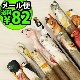 ���ޥ֥� ���˥ޥ�ڥ� ANIMAL PEN Amy by amabro