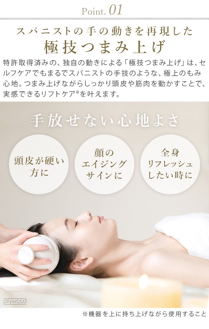 եƥ ż EMSإåɥ ץߥ FESTINO CHARGING EMS HEAD SPA PREMIER SMHB-044