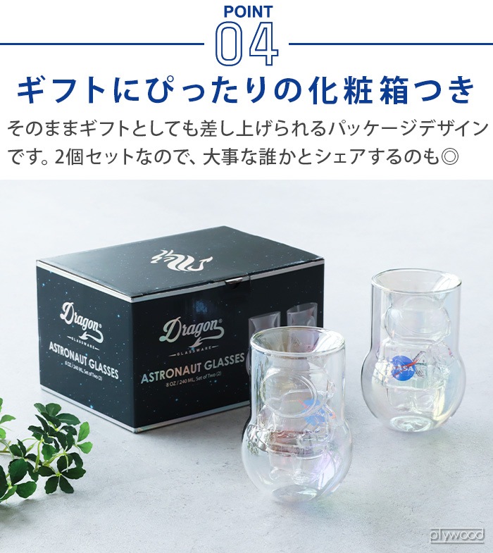 DETAIL NASA Astronaut Double Wall Glasses 2P SET