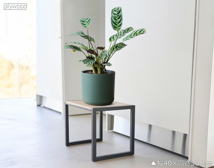  ¶ tower Ƨ H20 5158 5159