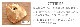 ��������ץ������� �����ץե����䡼���ȥ� EAGLE Products Campfire Kettle��4.0L ST600