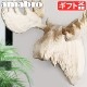 ���ޥ֥� amabro ���å� ���˥ޥ� �إå� WOOD ANIMAL HEAD [ Moose / �إ饸�� ]