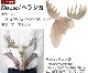 ���ޥ֥� amabro ���å� ���˥ޥ� �إå� WOOD ANIMAL HEAD [ Moose / �إ饸�� ]