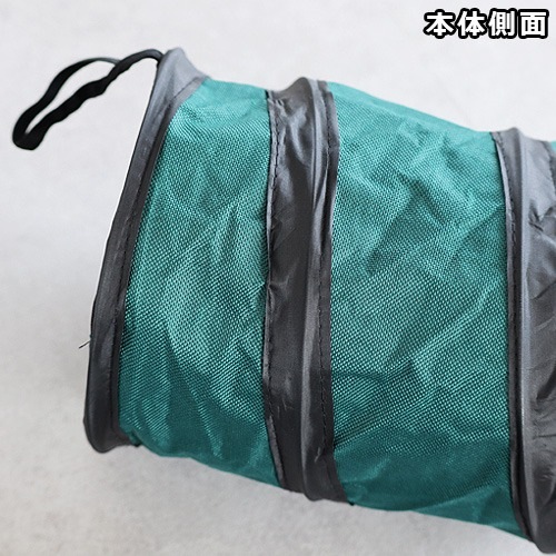 ���ե�� �ݥåץ��åץߥ˥ӥ� 2213 3.4L Coghlan's