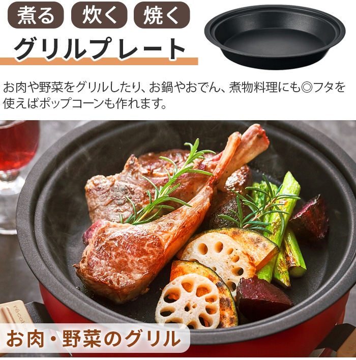 쥳 ѡƥå recolte Party Cooker RRF-3