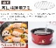 쥳 ѡƥå recolte Party Cooker RRF-3