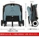 ������ �����٥å��� ����ե��� cybex ORFEO 2025ǯ��ǥ�