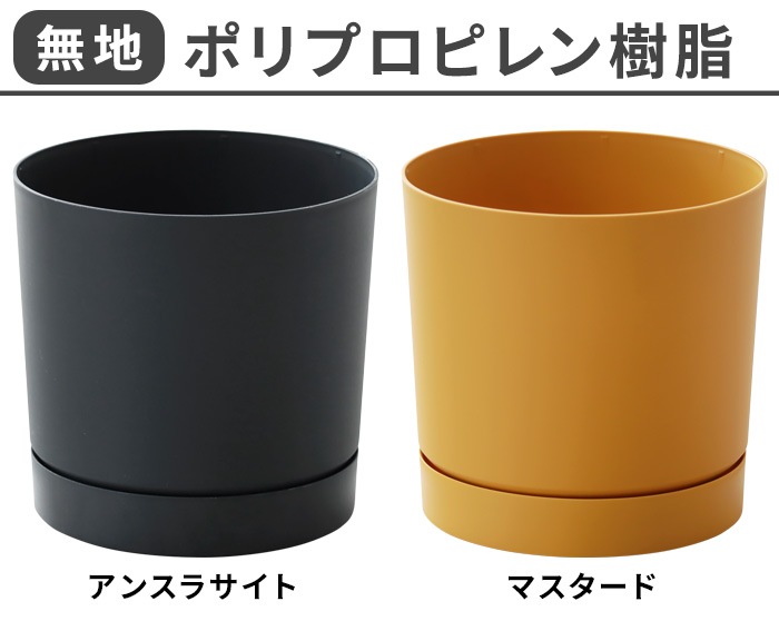 KONTON PROSPER �ץ����ѡ� �ȥ����� XL������