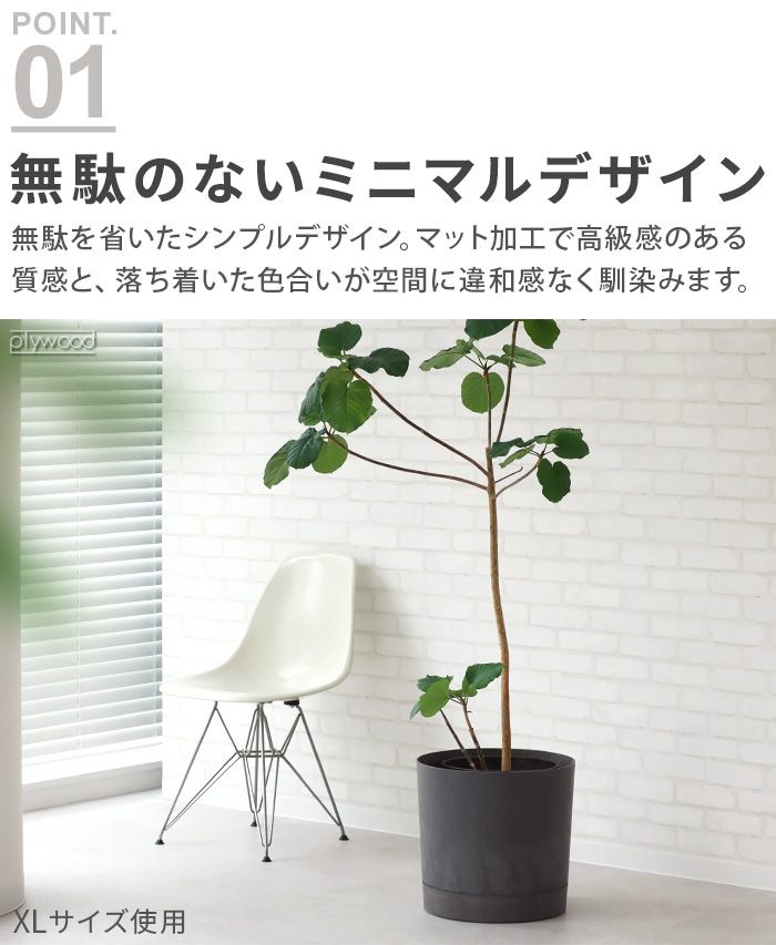 KONTON PROSPER �ץ����ѡ� �ȥ����� XL������