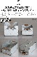 �Хꥹ�ƥ����� �����륳���å�25�� Ballistics SHELCON LEG 25�� ���Ρ�����å������
