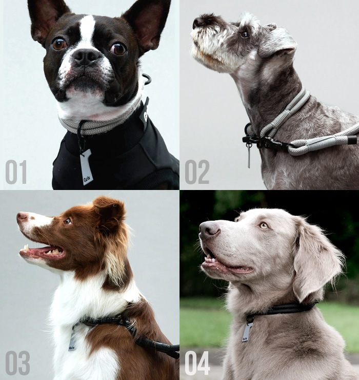   顼 gris THE COLLAR [35cm DG0012 / 40cm DG0013]