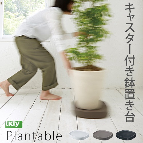 �ƥ��ǥ� �ץ�󥿥֥� tidy Plantable