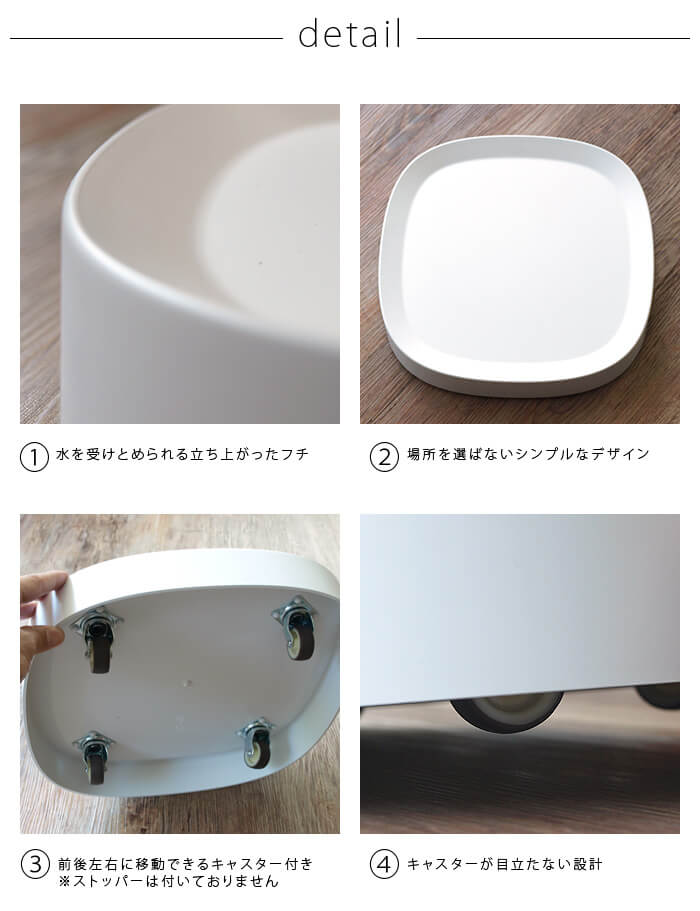 �ƥ��ǥ� �ץ�󥿥֥� tidy Plantable
